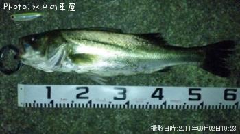 �����Х�