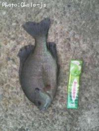 �֥롼����