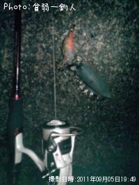 �����ꥤ��