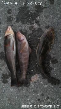 ¥¢¥¤¥Ê¥á¤È¥Þ¥´¥Á