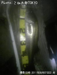 �����Х�