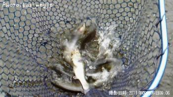 ¥ì¥¤¥ó¥Ü¡¼¥È¥é¥¦¥È