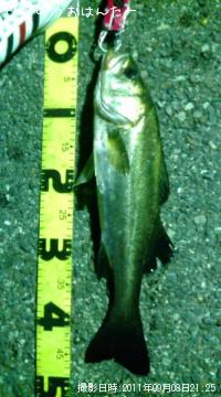 �����Х�