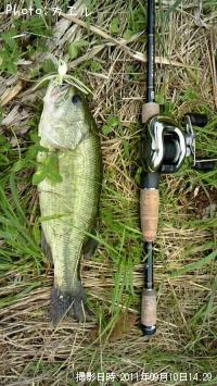 �֥�å��Х�