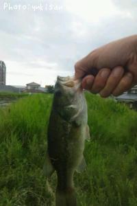 �֥�å��Х�