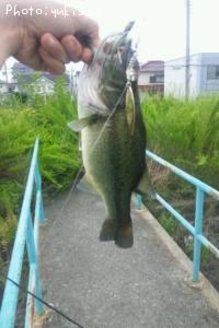 �֥�å��Х�