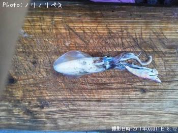 ¥¢¥ª¥ê¥¤¥«