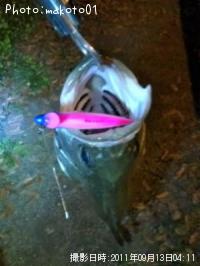 �����Х�