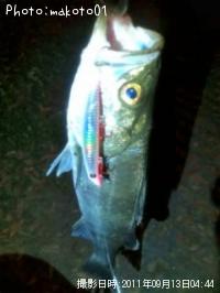 �����Х�