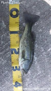 �֥�å��Х�