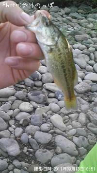 ¥Ö¥é¥Ã¥¯¥Ð¥¹