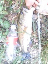 ¥Ö¥é¥Ã¥¯¥Ð¥¹