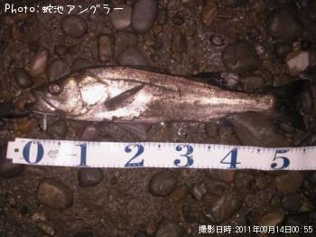 �����Х�