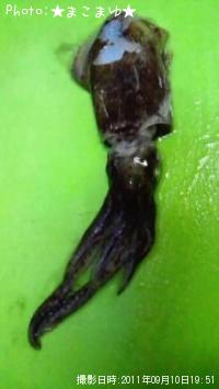 ¥¢¥ª¥ê°Ê²¼¡Ê¾Ð¡Ë