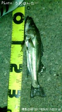 �����Х�