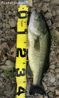 �֥�å��Х�