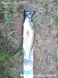 �֥�å��Х�