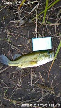 ¥Ö¥é¥Ã¥¯¥Ð¥¹