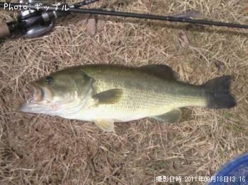 ¥Ö¥é¥Ã¥¯¥Ð¥¹