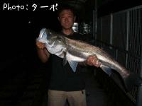 �����Х�