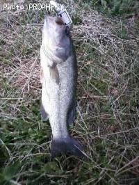 ¥Ö¥é¥Ã¥¯¥Ð¥¹