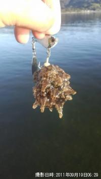 ���ߥ���