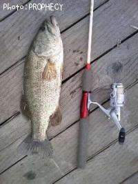 ¥Ö¥é¥Ã¥¯¥Ð¥¹