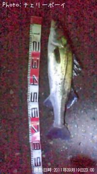 �����Х�