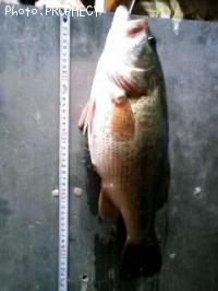 �֥�å��Х�