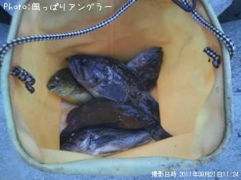 ������������