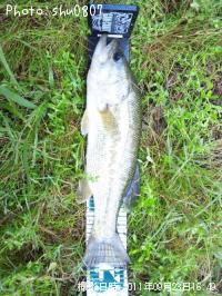 �֥�å��Х�