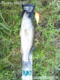 �֥�å��Х�