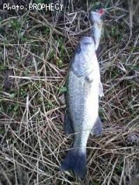 ¥Ö¥é¥Ã¥¯¥Ð¥¹