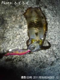 �����ꥤ��