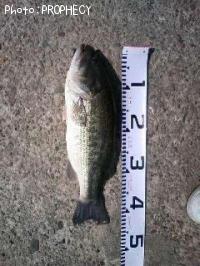 �֥�å��Х�