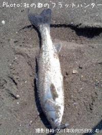 �����Х�