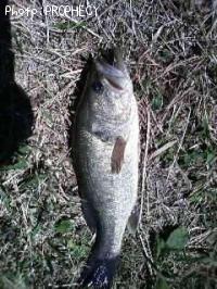 �֥�å��Х�