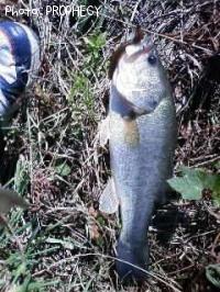 �֥�å��Х�