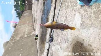 �����ʥ�