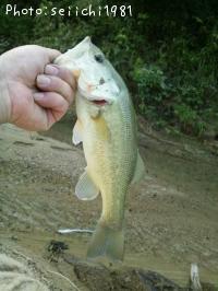 �֥�å��Х�