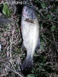 ¥Ö¥é¥Ã¥¯¥Ð¥¹