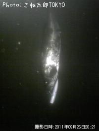 �����Х�