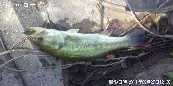 �֥�å��Х�