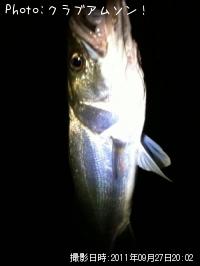 �����Х�