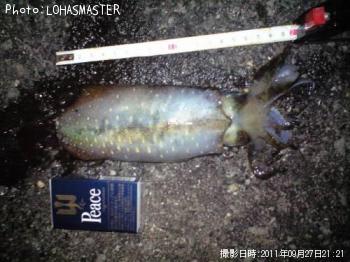 �����ꥤ��