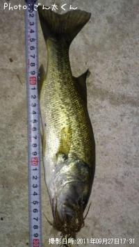 ¥Ö¥é¥Ã¥¯¥Ð¥¹