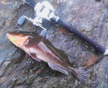 �����ʥ�