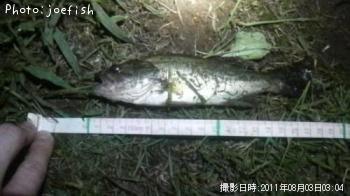 ¥Ö¥é¥Ã¥¯¥Ð¥¹