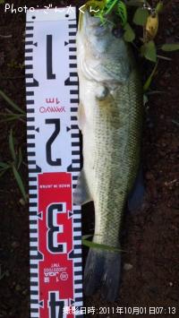 �֥�å��Х�