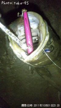 �����Х�